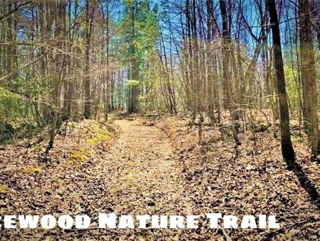 Land for sale in Corbin, Kentucky