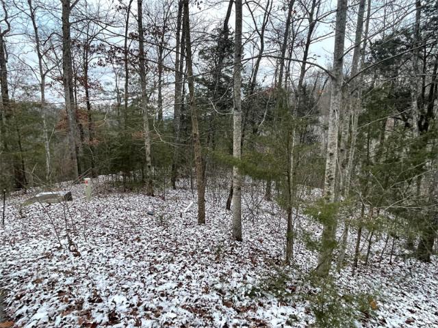 Land for sale in Monticello, Kentucky