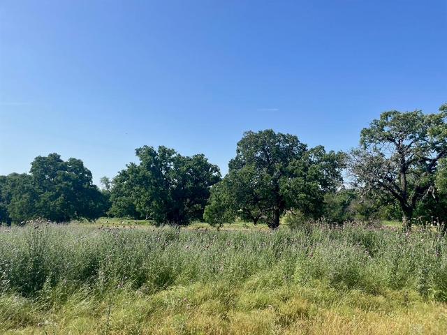Land for sale in Parker, Texas
