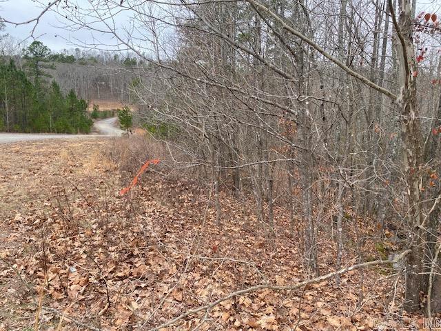 Land for sale in Ark