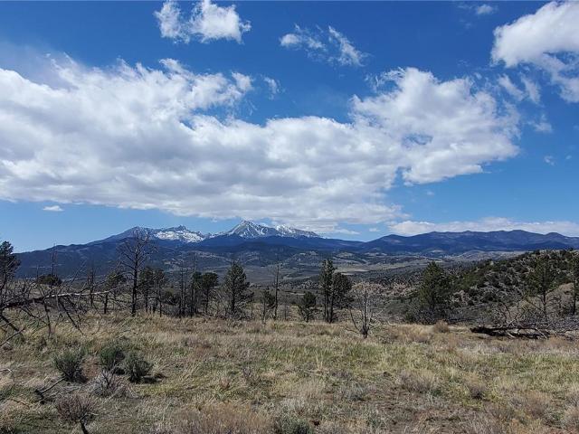 Land for sale in Fort Garland, Colorado