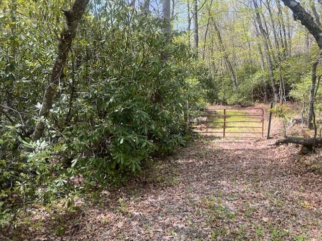 Land for sale in Virginia