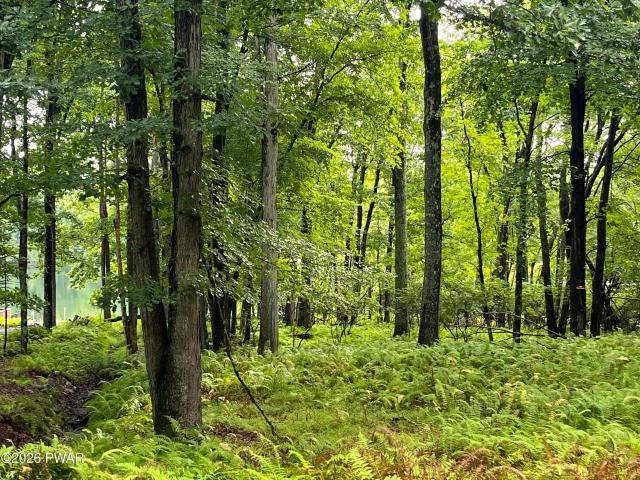 Land for sale in Beach Lake, Pennsylvania