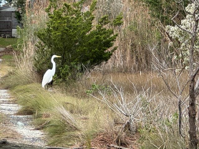 Land for sale in Virginia