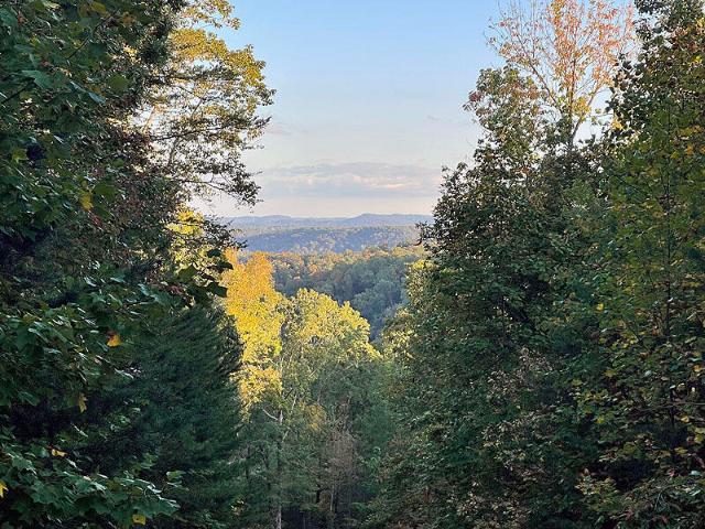 Land for sale in Monticello, Kentucky