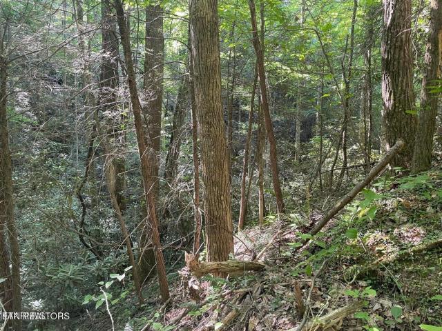 Land for sale in Sevierville, East Tennessee