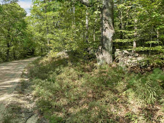 Land for sale in New Hampshire
