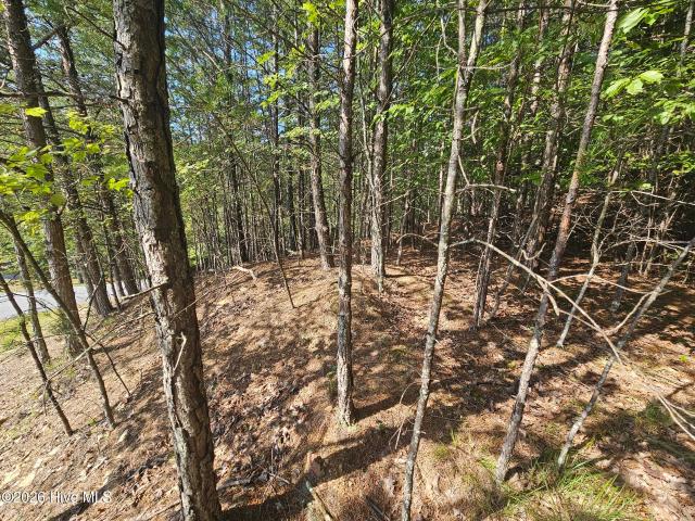 Land for sale in Murphy, Cherokee County