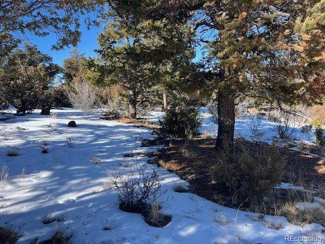 Land for sale in Fort Garland, Colorado