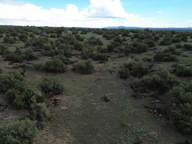 Land for sale in Catron, New Mexico