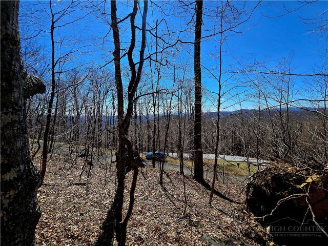 Land for sale in Todd, North Carolina