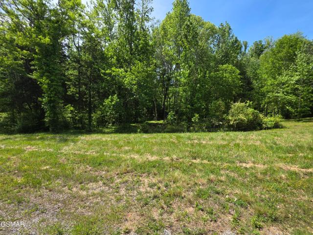 Land for sale in Tennessee