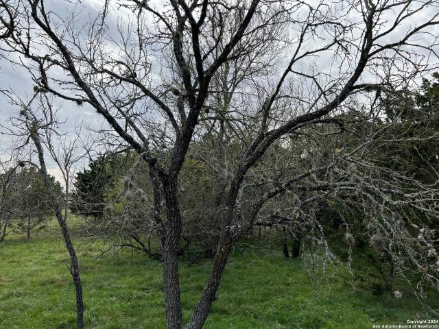 Land for sale in Bandera, Texas
