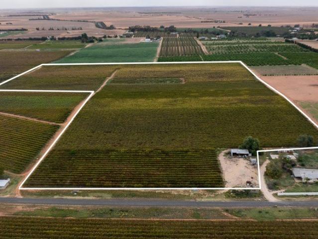 Cottage for sale in Loxton, South Australia