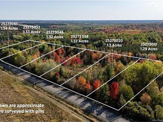 Land for sale in Canaan Station, New Brunswick