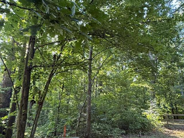 Land for sale in Louisa, Louisa County