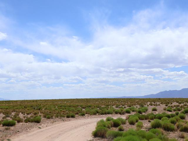 Land for sale in New Mexico