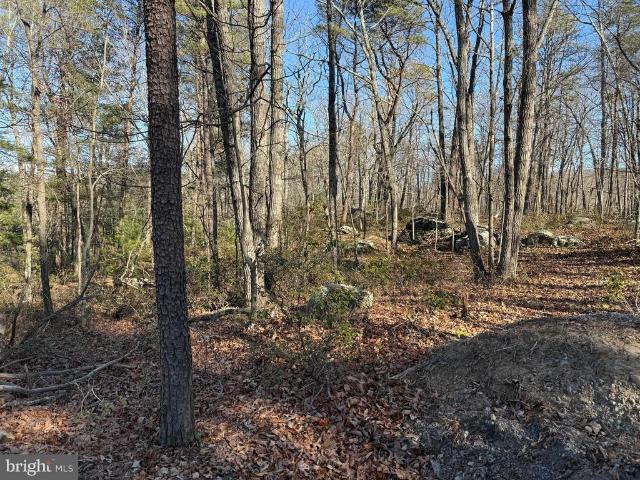 Land for sale in Capon Bridge, West Virginia