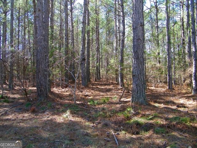 Land for sale in Elbert, Georgia