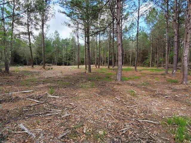 Land for sale in Kountze, Texas