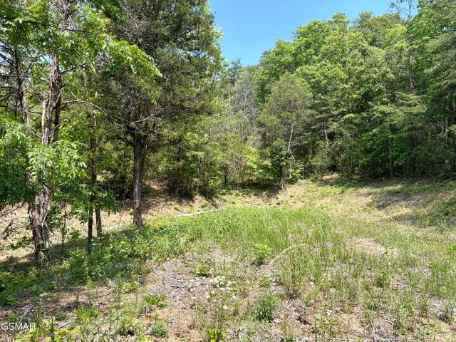 Land for sale in Tennessee