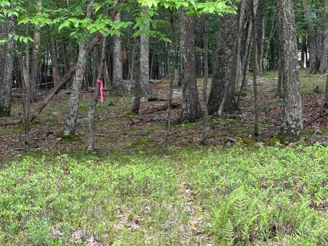 Land for sale in Dingmans Ferry, Pennsylvania
