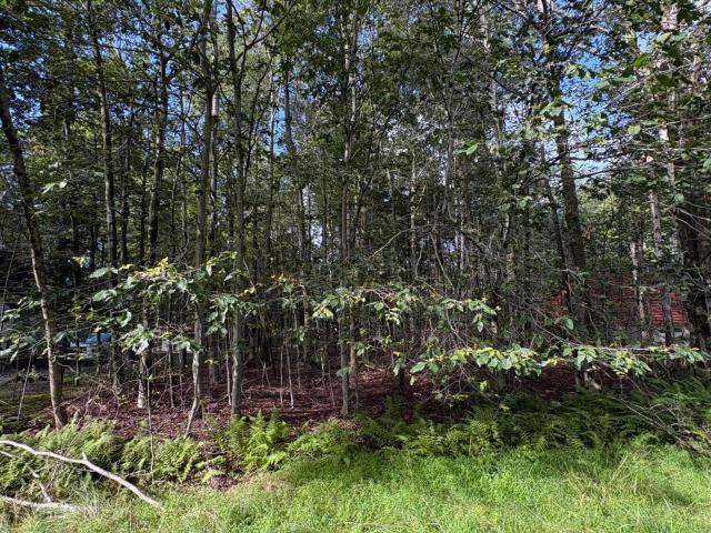 Land for sale in Cresco, Pennsylvania