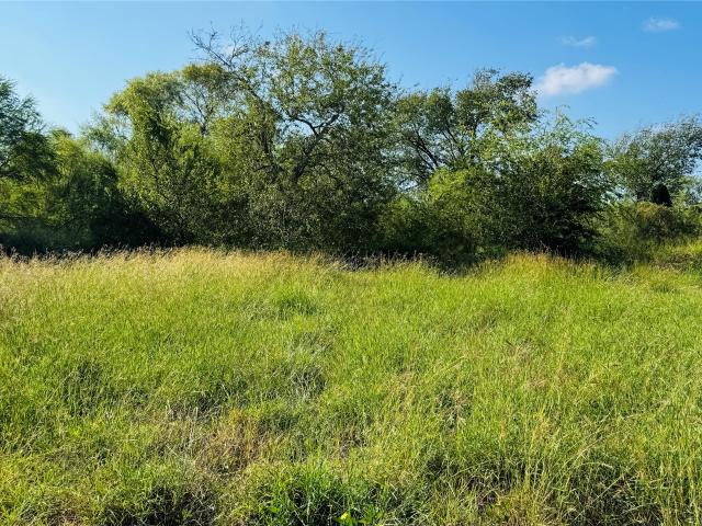 Land for sale in San Patricio, Texas