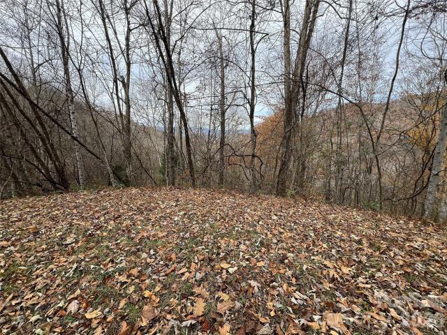 Land for sale in Bryson City, Swain County