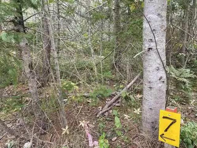 House for sale in Murray River, Prince Edward Island