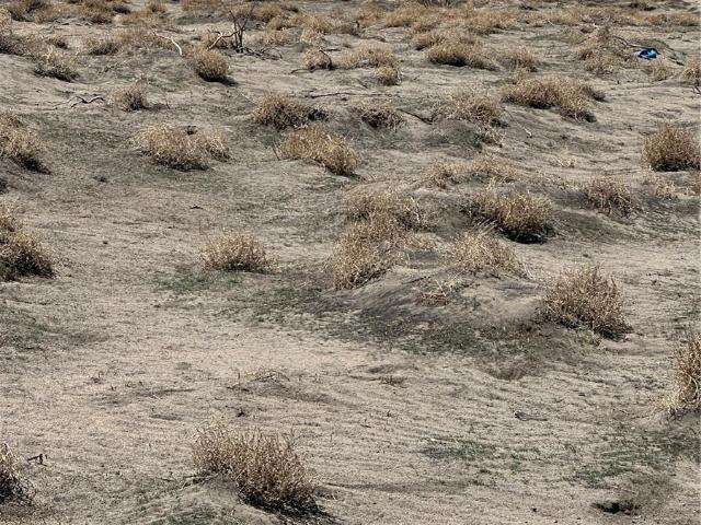 Land for sale in Alamosa