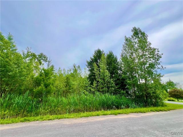 Land for sale in Oneida, New York