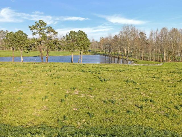 Land for sale in Rainsville, Alabama