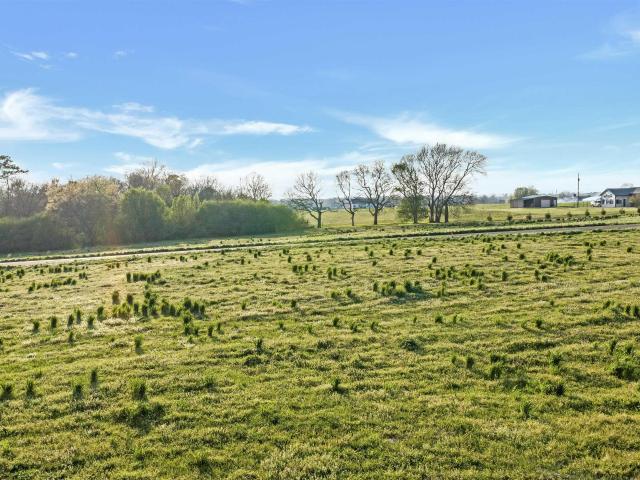 Land for sale in Rainsville, Alabama