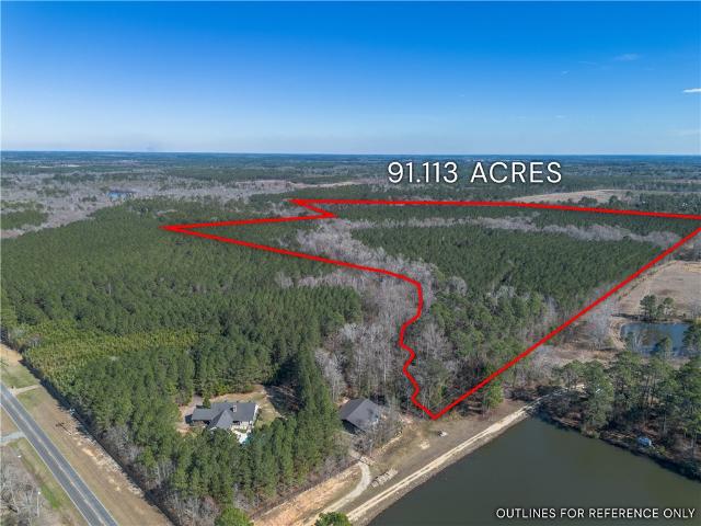 Land for sale in Dodge, Georgia