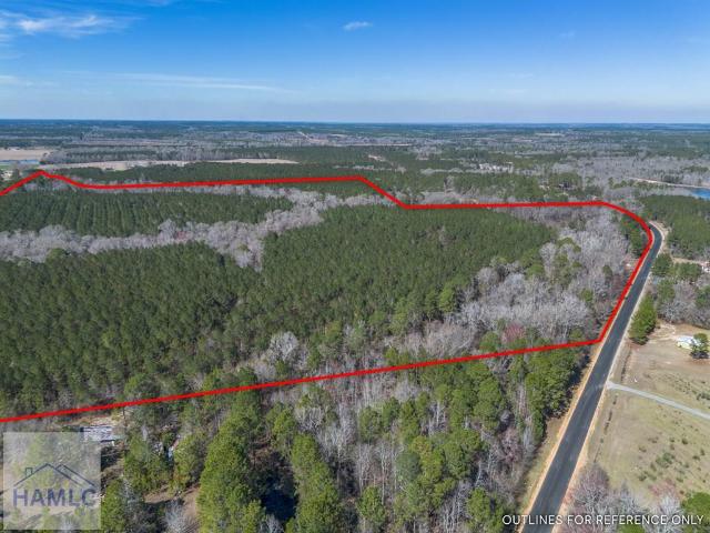 Land for sale in Dodge, Georgia