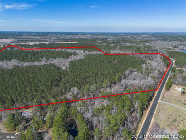 Land for sale in Dodge, Georgia