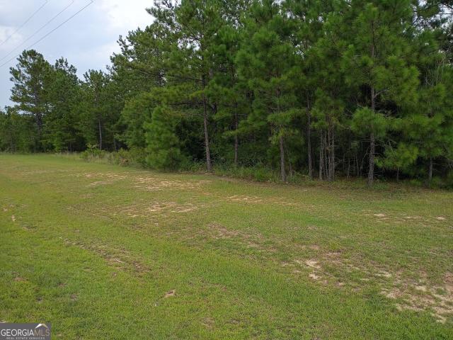 Land for sale in Dublin, Laurens County