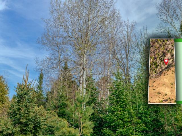 Land for sale in Houghton, Michigan