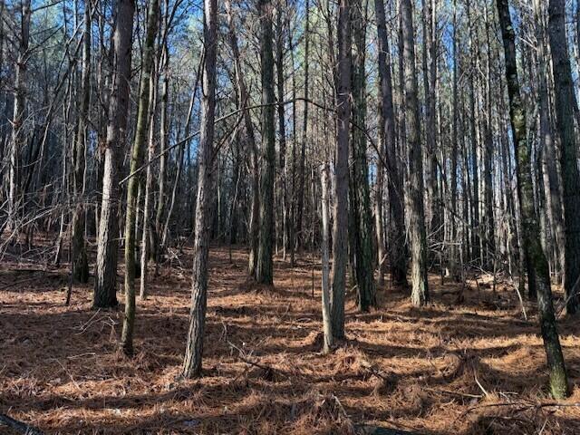 Land for sale in Valley Head, Alabama