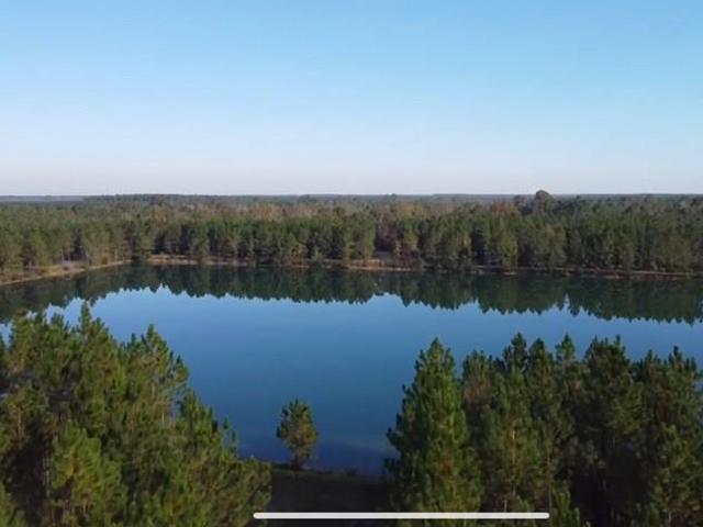 Land for sale in Odum, Georgia