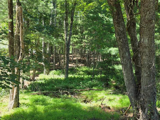 Land for sale in Barryville, New York