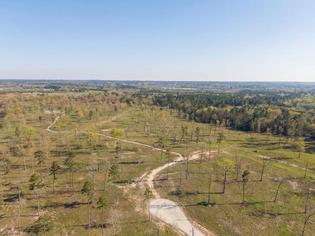 Land for sale in Polk, Texas