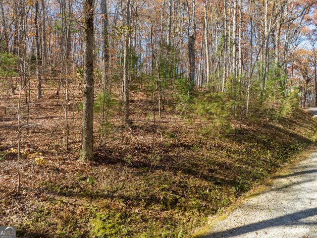 Land for sale in Gilmer, Georgia