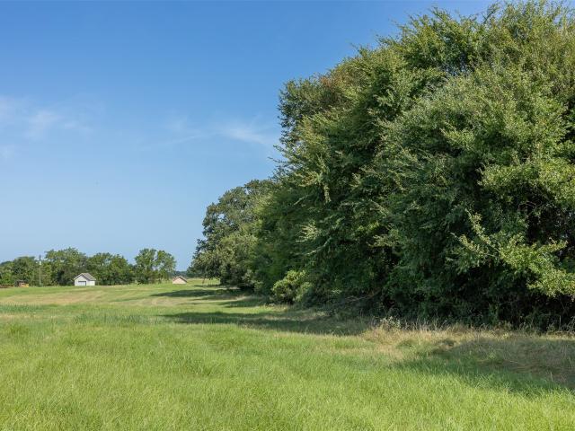 Land for sale in Limestone, Texas