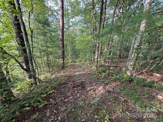 Land for sale in Graham, North Carolina