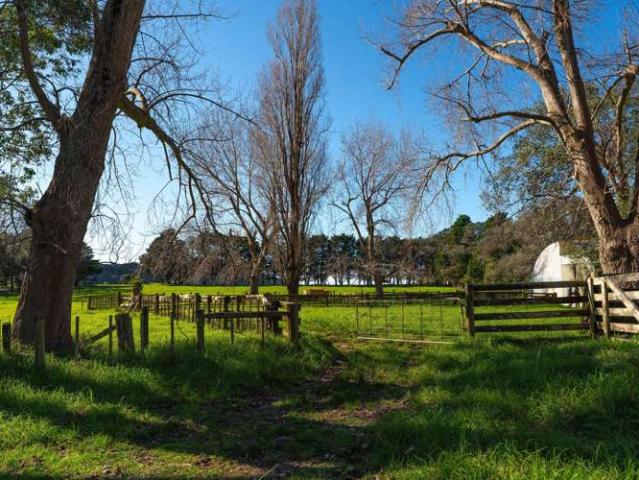 Land for sale in Karetu, Northland