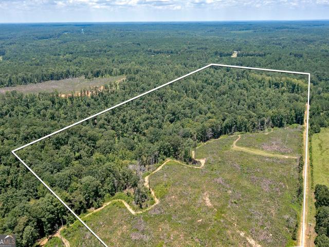 Land for sale in Flovilla, Georgia