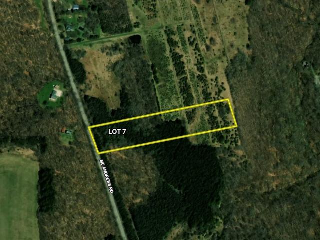 Land for sale in Alfred, New York