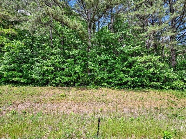 Land for sale in Falkville, Alabama